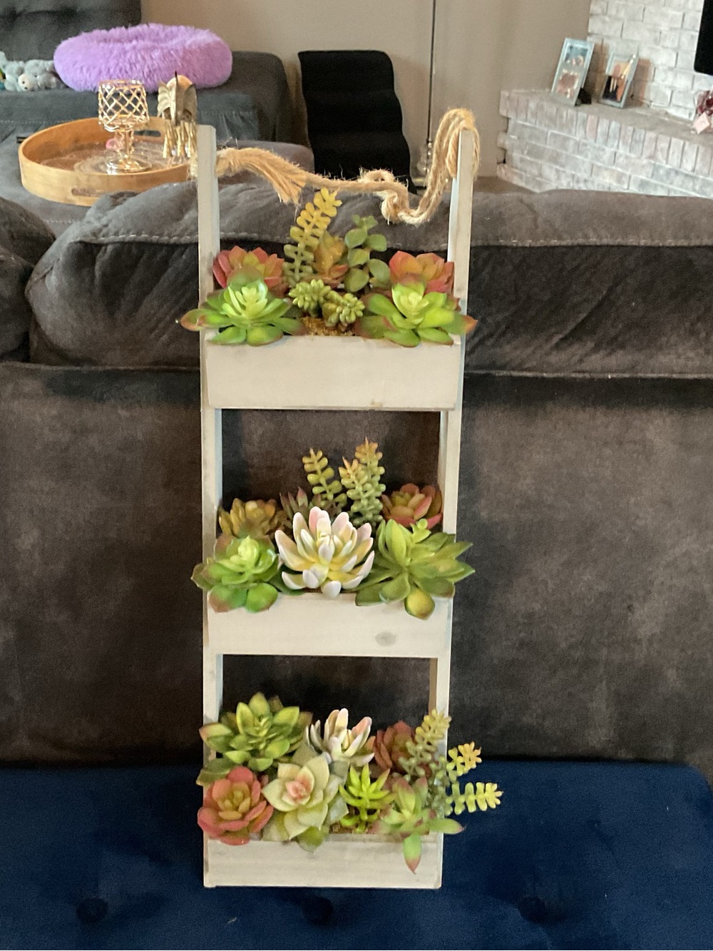 Rustic White Hanging Ladder Planter with Green Succulents